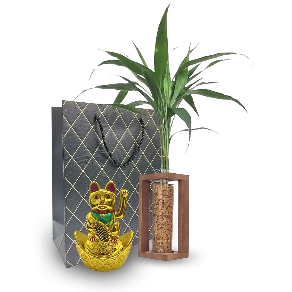 Kit Presente Vaso com Bambu da Sorte + Gato da Sorte Manekineko