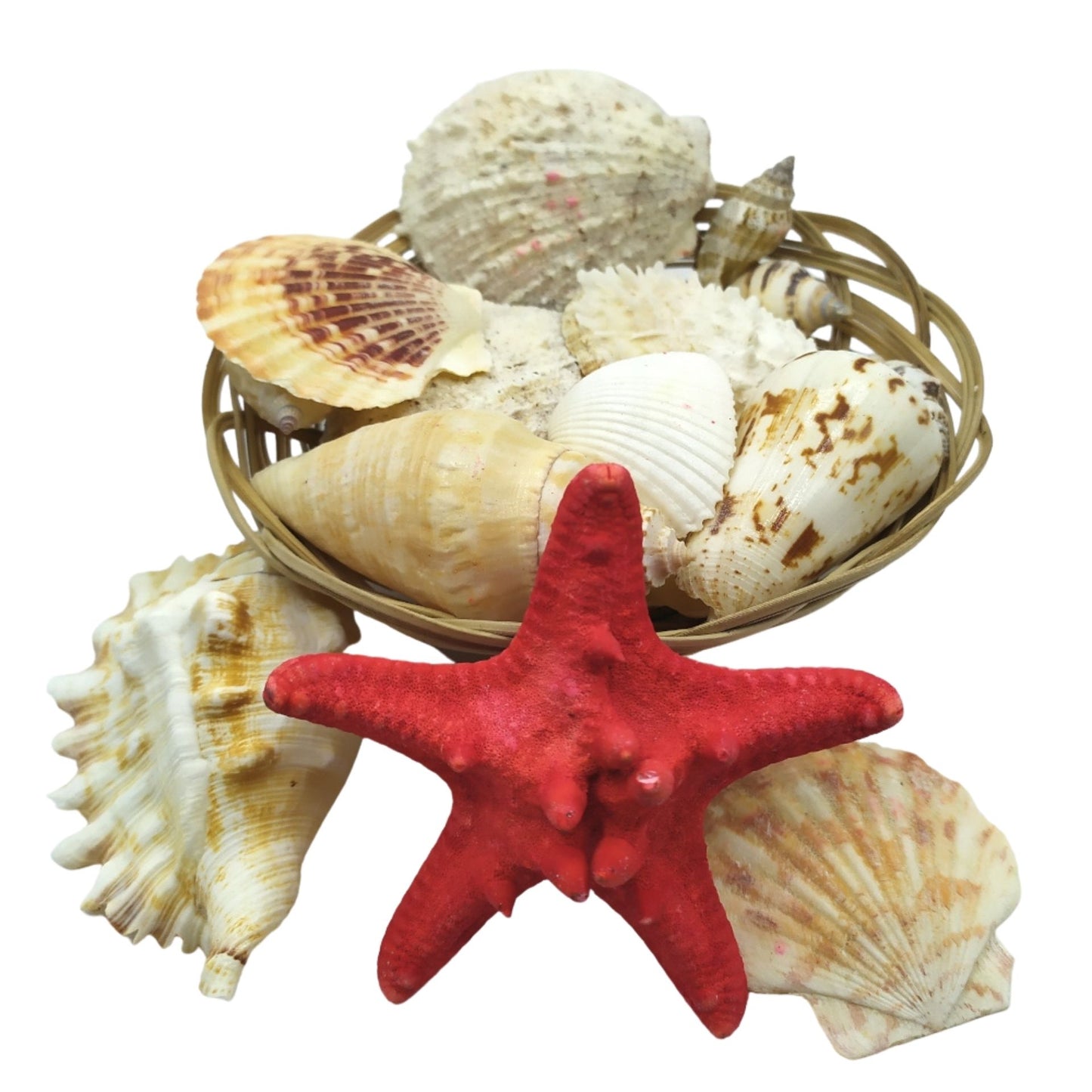 Cestinha de Conchas e Caracóis do Mar (200g)
