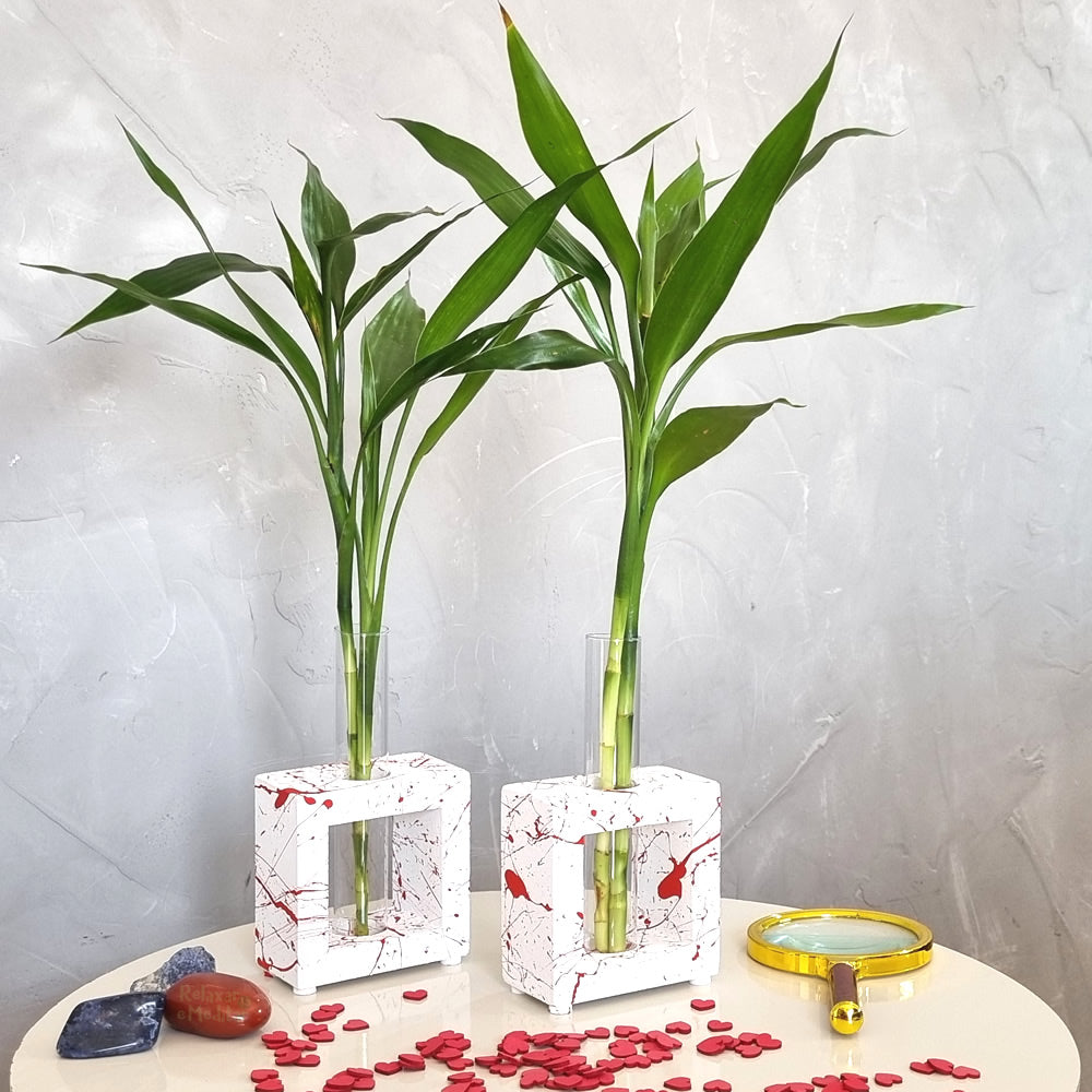 Kit Duo Love com Bambu da Sorte e Vaso em Vidro com Suporte de Madeira