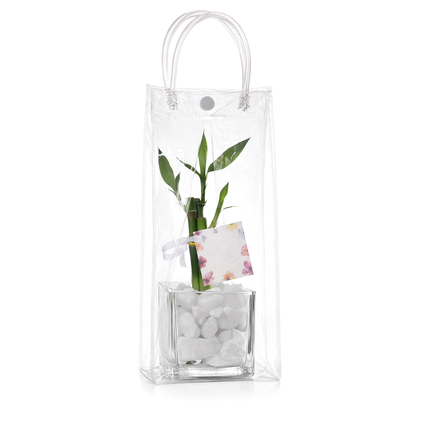 Kit Presente com Vaso de Vidro e Bambu da Sorte (3 Hastes)