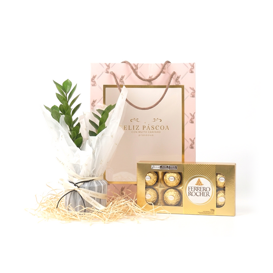 Especial de Páscoa com Zamioculca e Chocolate (Edição Limitada)