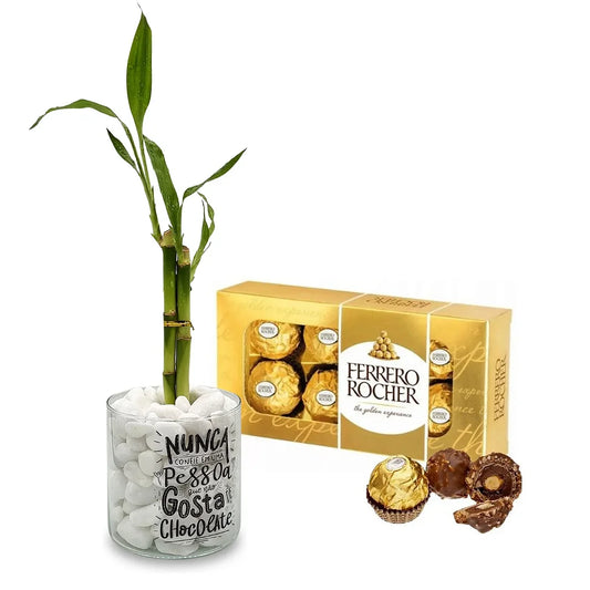 Bambu da Sorte com Vaso em Vidro + Caixa de Chocolate Ferrero Rocher