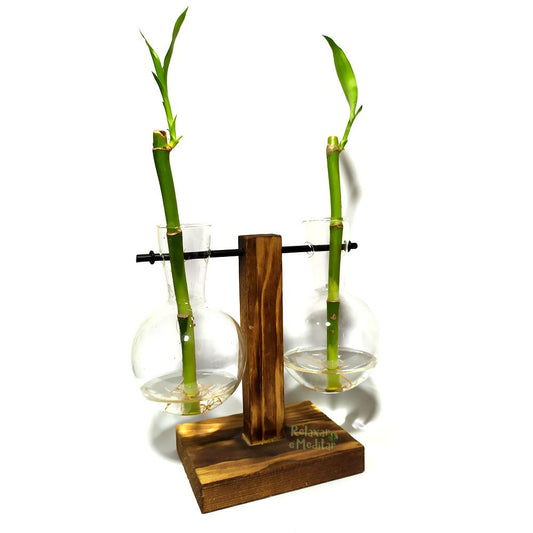 Suporte Duplo em Madeira e Vaso Pendente com Bambu da Sorte