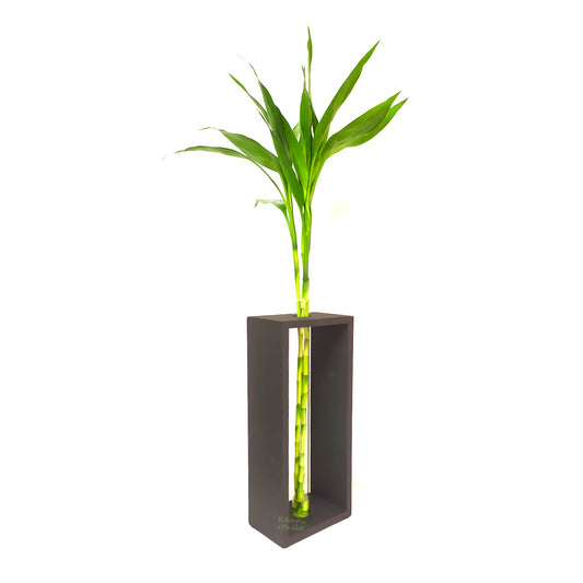Vaso em Vidro com Suporte para Chão com 3 Hastes de Bambu da Sorte